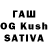 ТГК Wax Amir Dudurgov