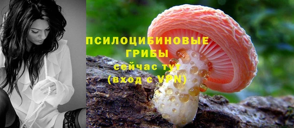 мяу мяу кристалл Козловка